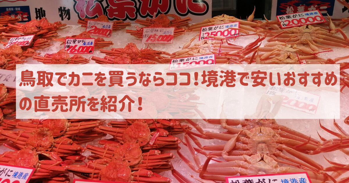 鳥取でカニを買うならココ！境港で安いおすすめの直売所を紹介！