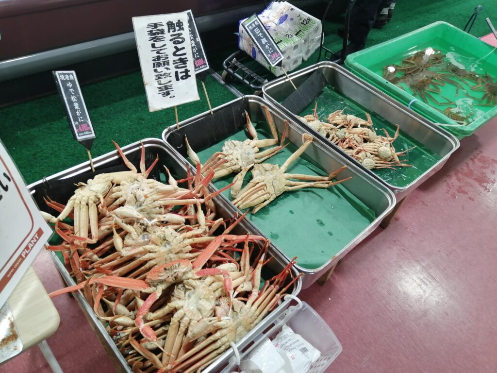 【鳥取】境港のスーパーで買える安いカニを厳選紹介！